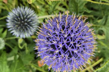 Frühlingsaktion 2026